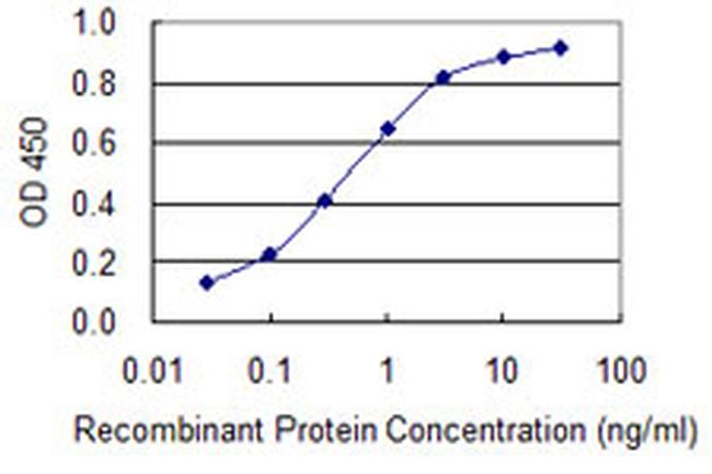 BRCA2 Antibody in ELISA (ELISA)