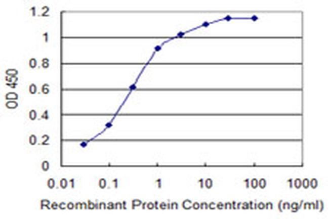 CACNA1C Antibody in ELISA (ELISA)