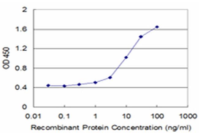 CACNA1F Antibody in ELISA (ELISA)