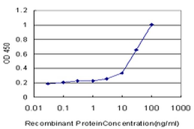 CAMK2A Antibody in ELISA (ELISA)