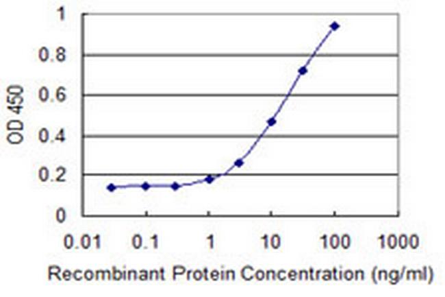 CAV3 Antibody in ELISA (ELISA)