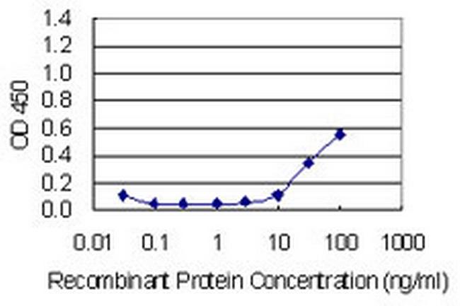 CDH11 Antibody in ELISA (ELISA)