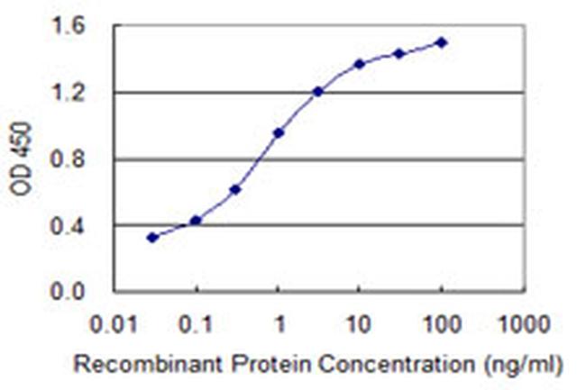 CRYGC Antibody in ELISA (ELISA)