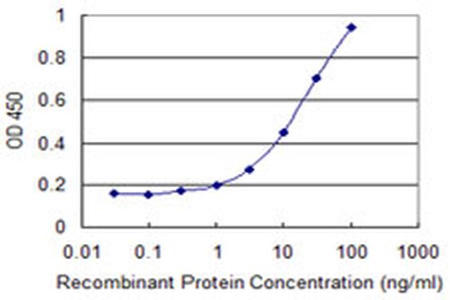 DAD1 Antibody in ELISA (ELISA)