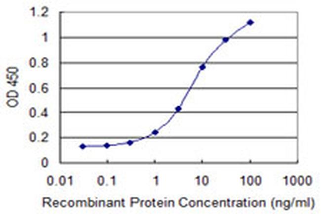 DAP Antibody in ELISA (ELISA)