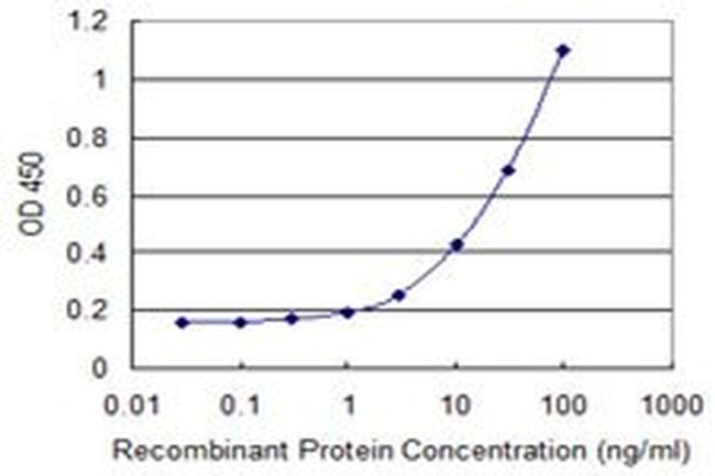 DCK Antibody in ELISA (ELISA)