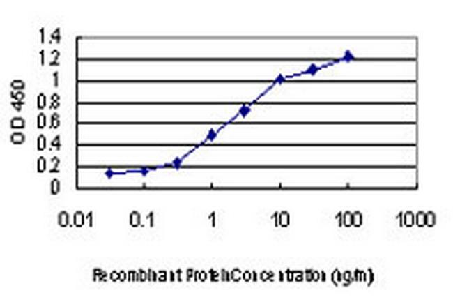 DDIT3 Antibody in ELISA (ELISA)