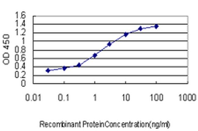 DLX5 Antibody in ELISA (ELISA)