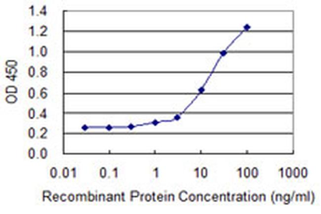 DUSP3 Antibody in ELISA (ELISA)