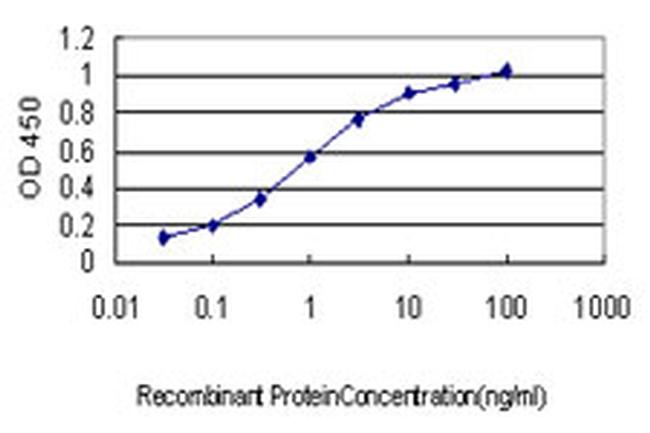 DUSP5 Antibody in ELISA (ELISA)