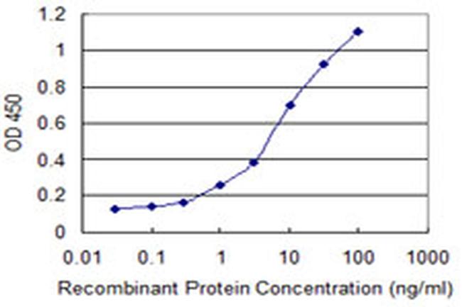 EIF4EBP1 Antibody in ELISA (ELISA)