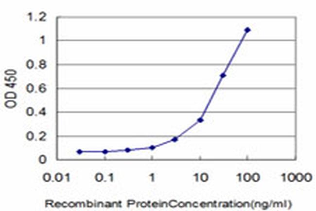 ELA2 Antibody in ELISA (ELISA)