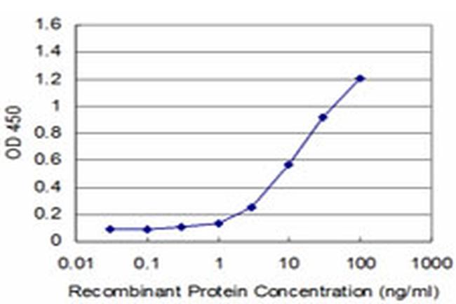 EN1 Antibody in ELISA (ELISA)