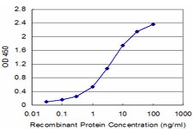 FXN Antibody in ELISA (ELISA)