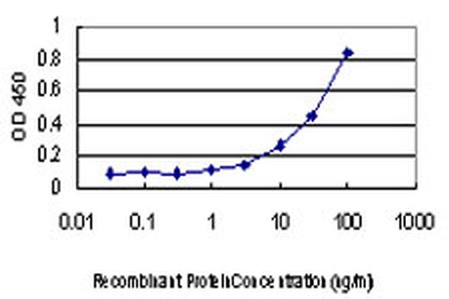 MTOR Antibody in ELISA (ELISA)