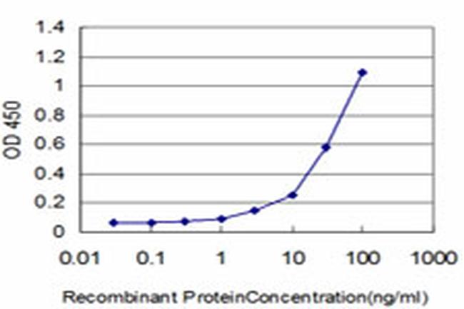 FYN Antibody in ELISA (ELISA)