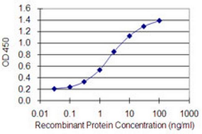 GATA4 Antibody in ELISA (ELISA)