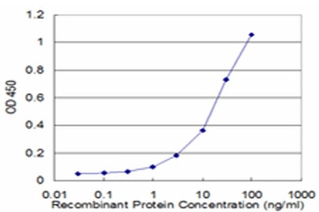 GJB1 Antibody in ELISA (ELISA)