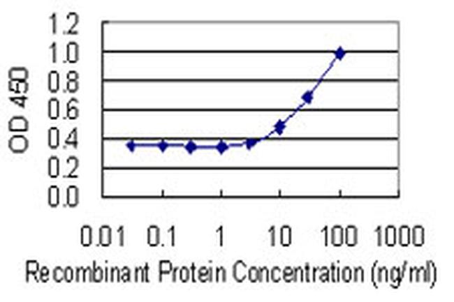 GLO1 Antibody in ELISA (ELISA)