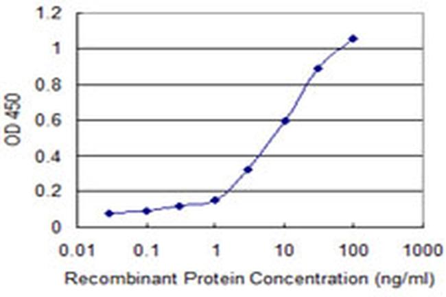 GRM1 Antibody in ELISA (ELISA)