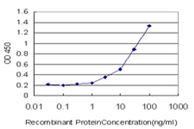 GRM2 Antibody in ELISA (ELISA)