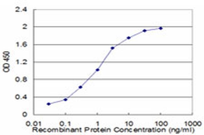 GRM5 Antibody in ELISA (ELISA)