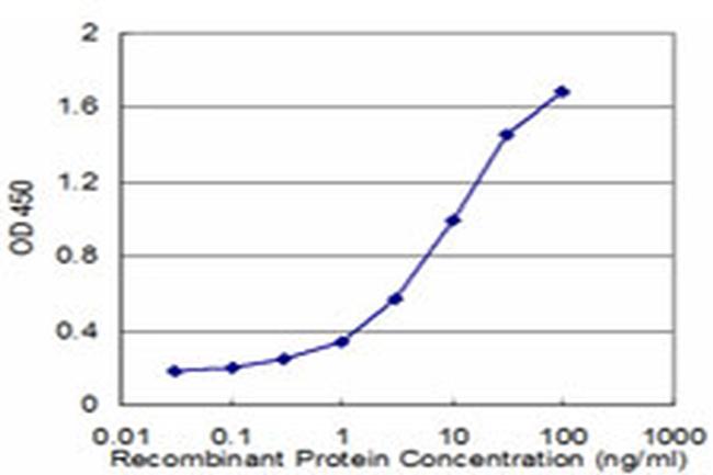 GRM5 Antibody in ELISA (ELISA)