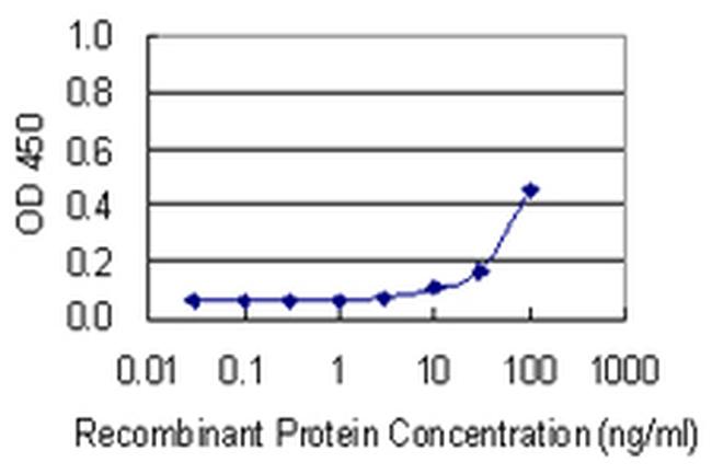 BRF1 Antibody in ELISA (ELISA)