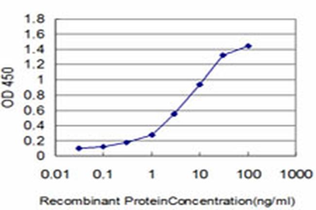 HOXC10 Antibody in ELISA (ELISA)