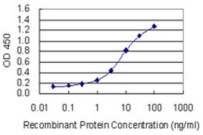 HSPA6 Antibody in ELISA (ELISA)