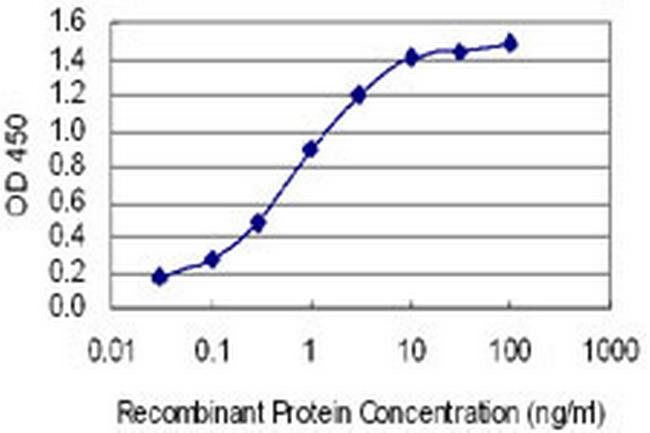 HTR2B Antibody in ELISA (ELISA)