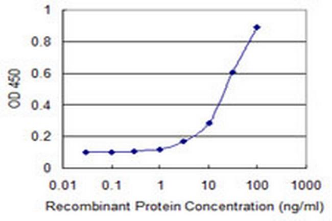 CYR61 Antibody in ELISA (ELISA)