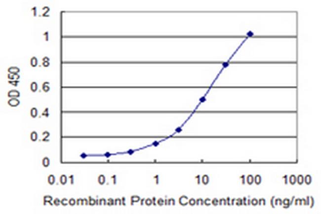 ISL1 Antibody in ELISA (ELISA)