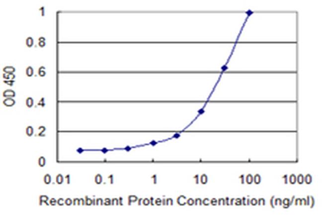 L1CAM Antibody in ELISA (ELISA)