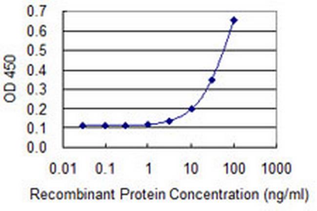 MRE11A Antibody in ELISA (ELISA)