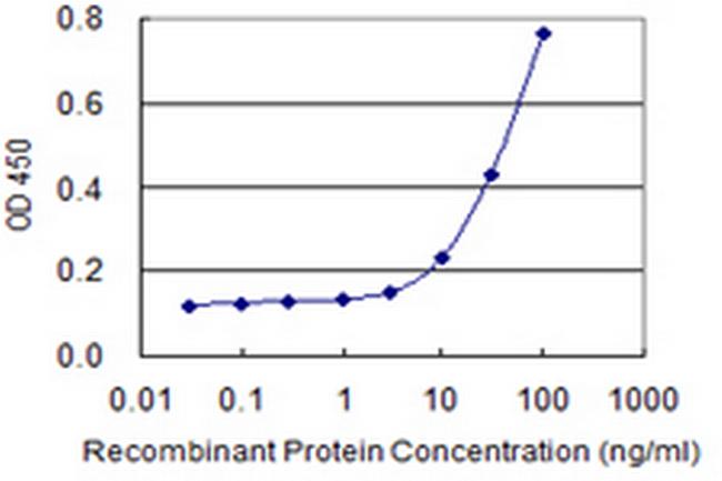 MUC5AC Antibody in ELISA (ELISA)