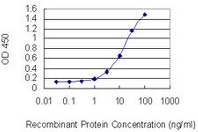 MYH3 Antibody in ELISA (ELISA)