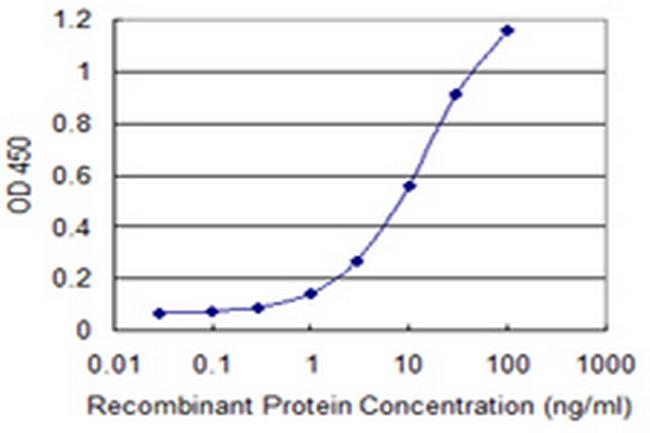 NELL2 Antibody in ELISA (ELISA)