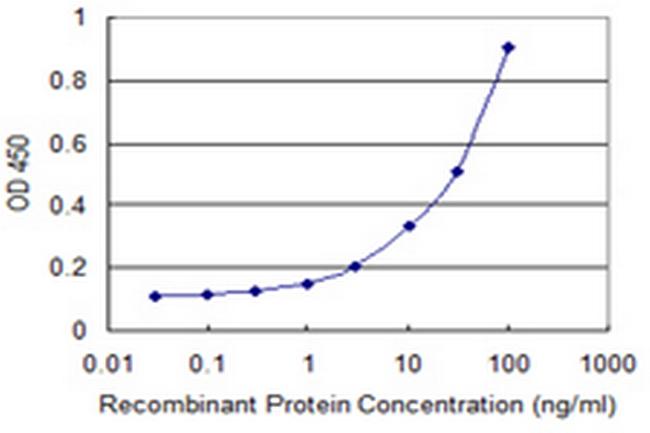 NELL2 Antibody in ELISA (ELISA)