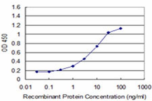 NEUROG1 Antibody in ELISA (ELISA)