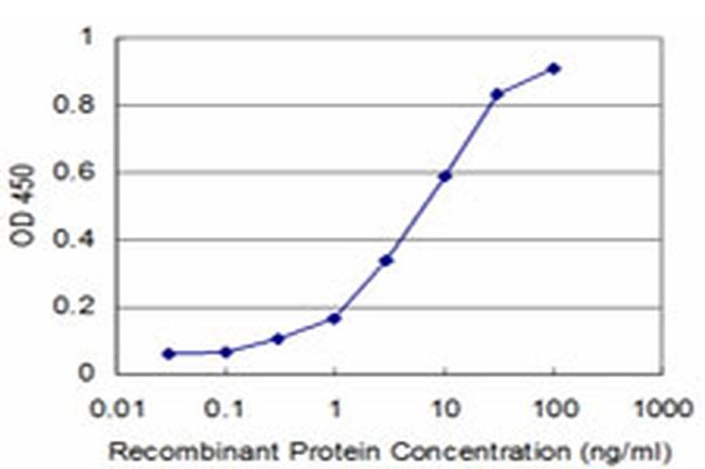 NEUROG1 Antibody in ELISA (ELISA)