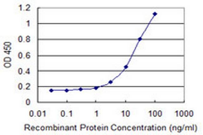 NNAT Antibody in ELISA (ELISA)