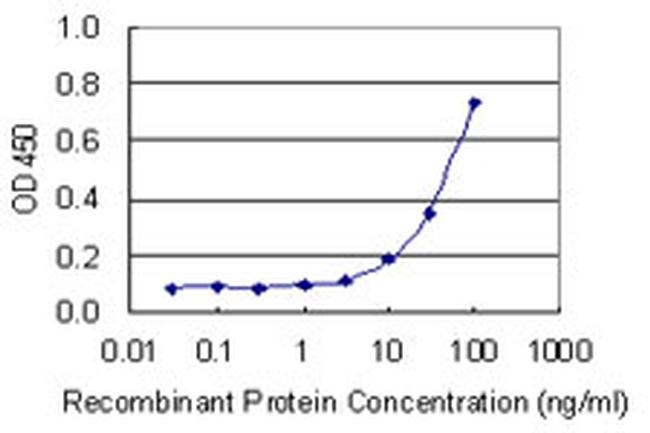 NOS3 Antibody in ELISA (ELISA)