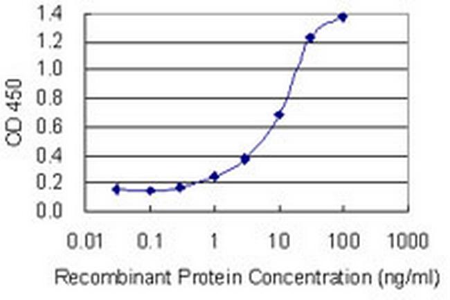 NPHS1 Antibody in ELISA (ELISA)