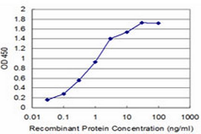 SLC11A2 Antibody in ELISA (ELISA)