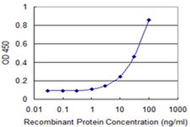 OPA1 Antibody in ELISA (ELISA)