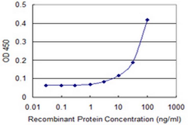 PIM1 Antibody in ELISA (ELISA)