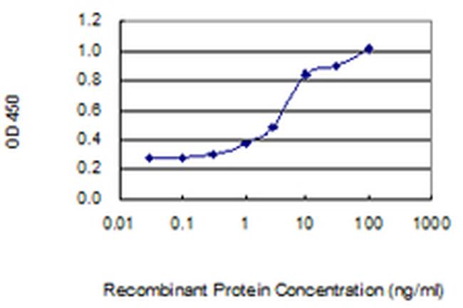 PLA2G2A Antibody in ELISA (ELISA)