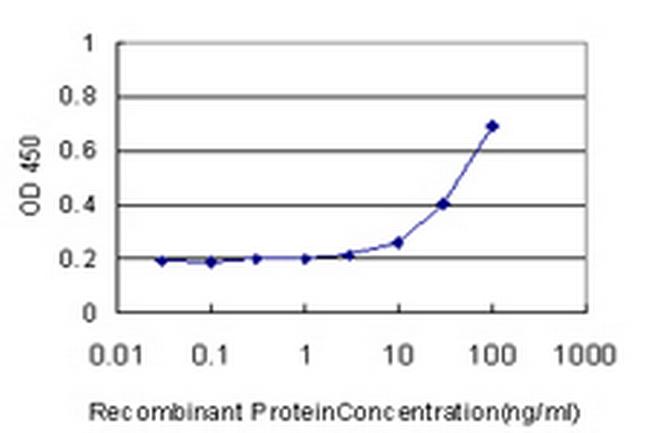 PMS2 Antibody in ELISA (ELISA)