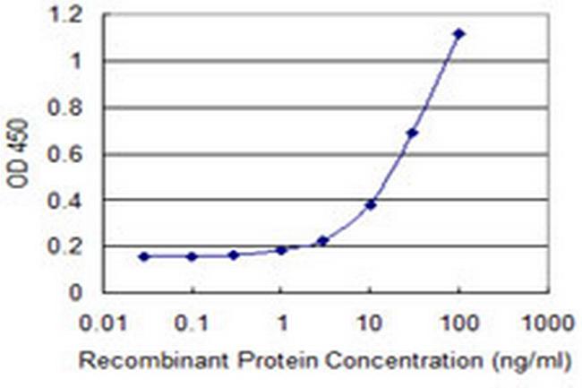 PMS2 Antibody in ELISA (ELISA)